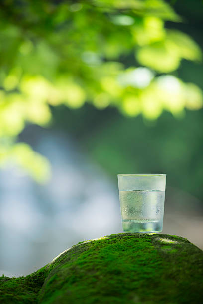 istock Blessing of nature and safe water. 545453136