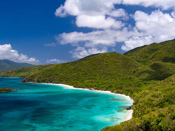 istock Aerial view of Cinnamon Bay Beach, St John 545453718