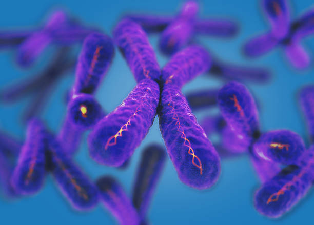 Chromosome, X. 3d illustration. stock photo
