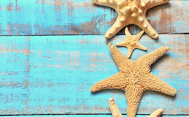 istock Starfish on a wooden blue background. 545456922