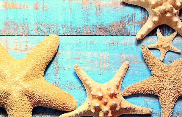 istock Starfish on a wooden blue background. 545457330