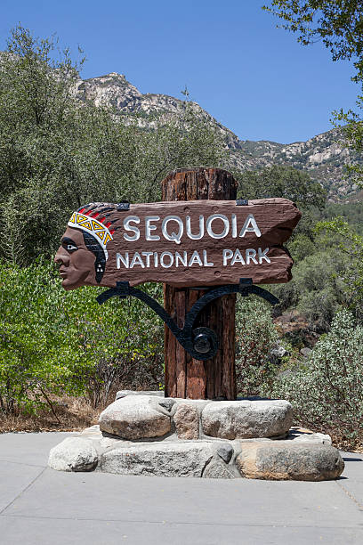istock Sequoia National Park - Entrance Sign 545460372