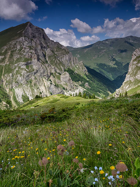 istock Peak Gorna Leshnica, Shara mountain 545462148