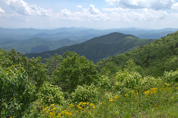 istock Picturesque Appalachian Mountains in Summer 545462194