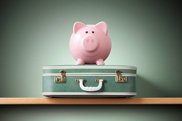 istock Piggy bank on a suitcase 545463138