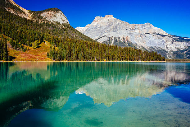 istock Emerald Lake, Yoho National Park, British Columbia, Canada 545463376