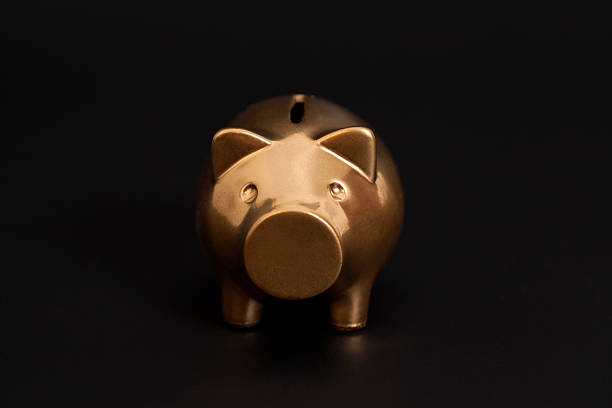 istock Golden Piggy Bank 545463504