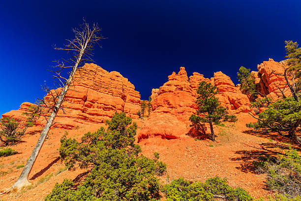 Unique vermilion-colored rock formation and stands of Ponderosa pines make the canyon exceptionally scenic.