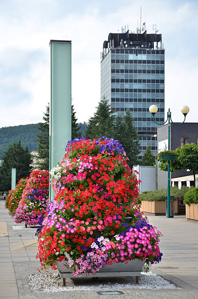 istock Bright flower pyramide as street decoration, administrative building in background 545464696