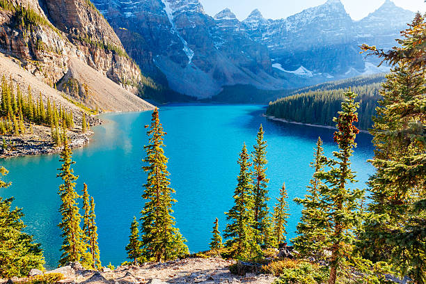 moraine see, see louise, banff nationalpark, alberta, kanada - landscape national park lake louise moraine lake stock-fotos und bilder