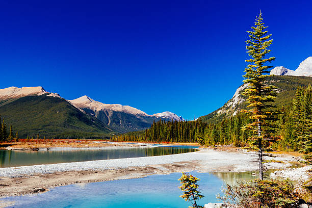 istock Sunwapta River, Jasper National Park in Alberta, Canada 545467140