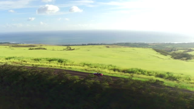 AERIAL: Red convertible driving through the meadow landscape towards the beach