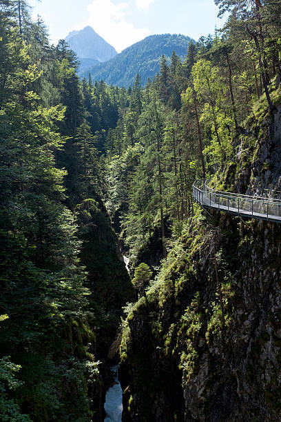 istock Leutasch Gorge in the German alps, Bavaria 545546400