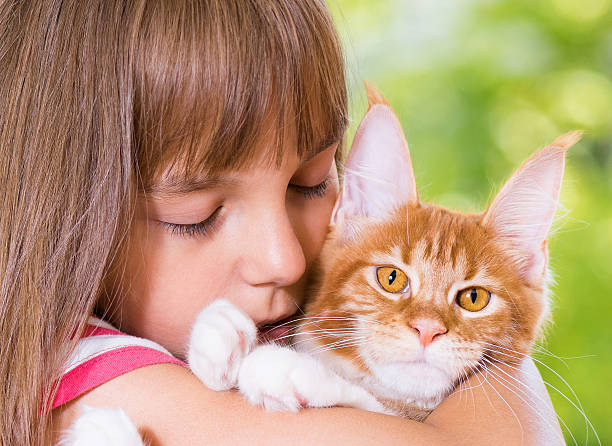 istock Girl with Maine Coon 545546594