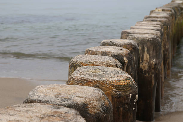 mar báltico - schlenge fotografías e imágenes de stock