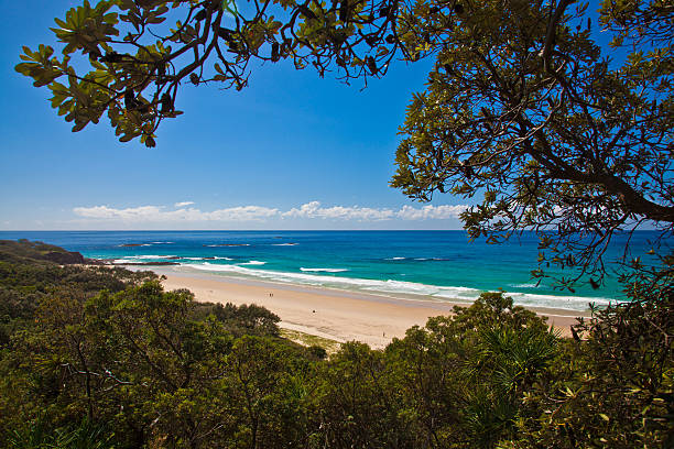 istock Australia, North Stradbroke Island 545550868