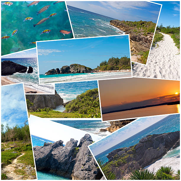 istock Bermuda Nature Collage- Horseshoe Bay, sunset, Sandy Beach Trail, ocean 545551412