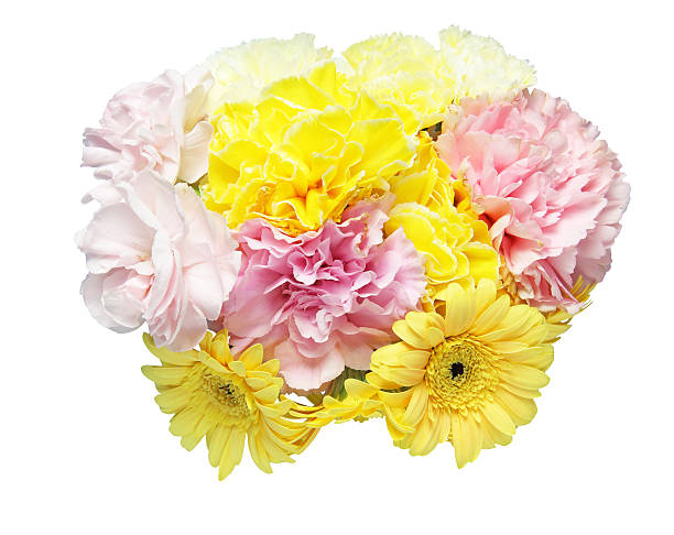 istock Bouquet of carnation and transvaal daisy 545551730