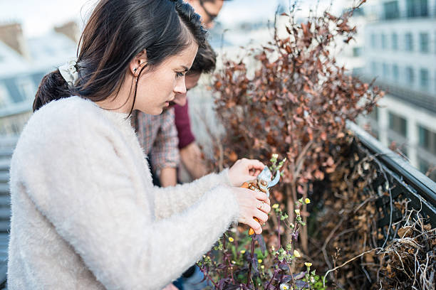 istock friends doing gardening on the rooftop terrace 545552630