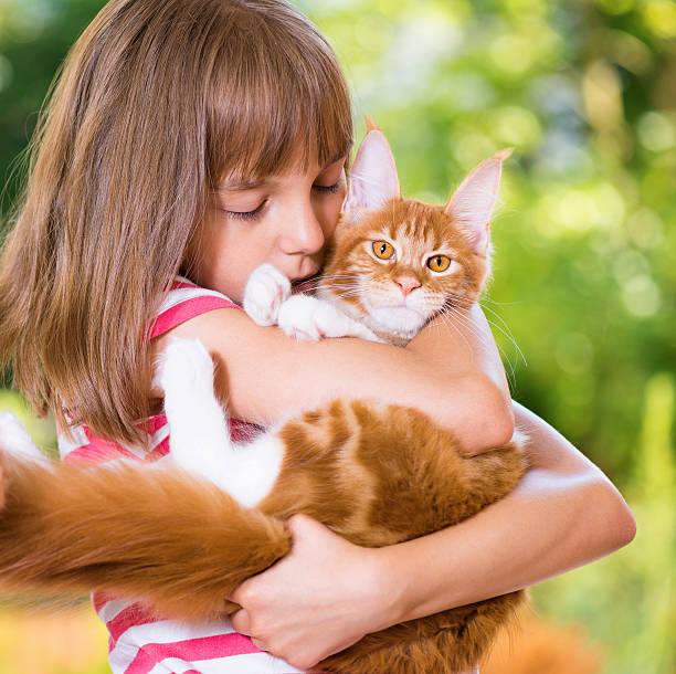 istock Girl with Maine Coon 545553090