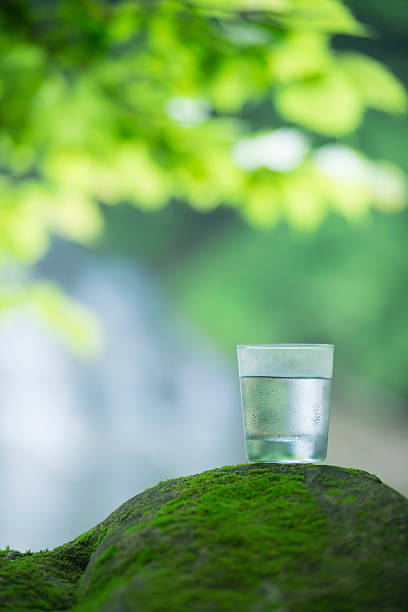 istock Blessing of nature and safe water. 545555840