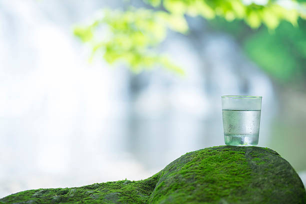 istock Blessing of nature and safe water. 545556142