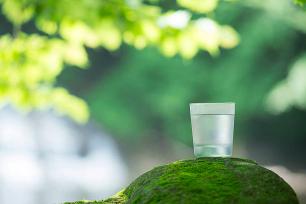 istock Blessing of nature and safe water. 545556414