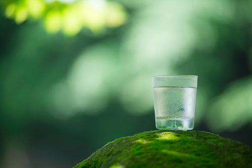 A glass of fresh and cold natural water is put on top of the growing rock of moss in of the valley  in Japan.