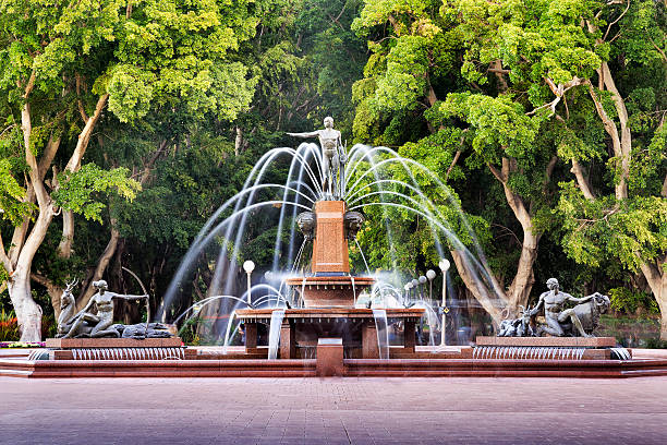 Syd HP Fountain Dist front trees Public central city park of Sydney - Hyde park around Archibald fountain surrounded by tall green trees. hyde park sydney stock pictures, royalty-free photos & images
