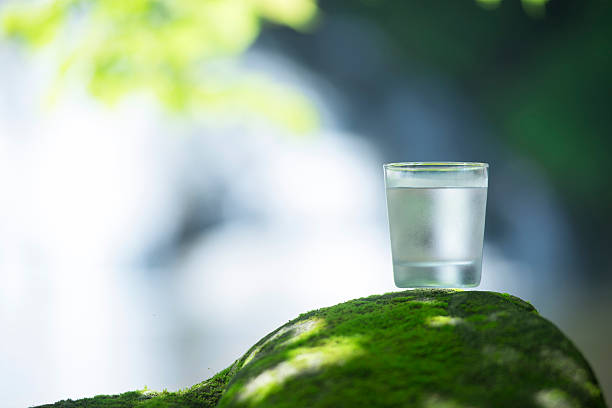 istock Blessing of nature and safe water. 545557684