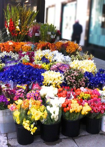 A downtown flower-stand that is always colorful and fragrant