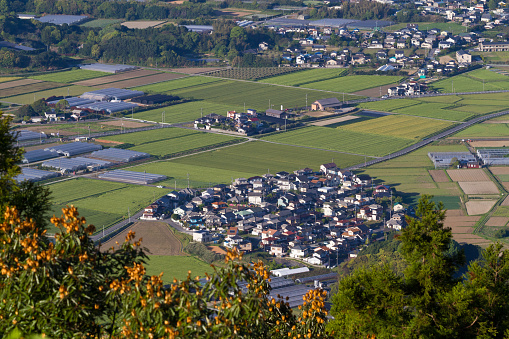 A cluster of houses surrounded by rice fields in the Itoshima countryside near Fukuoka, Japan. View from Mt. Kaya.
