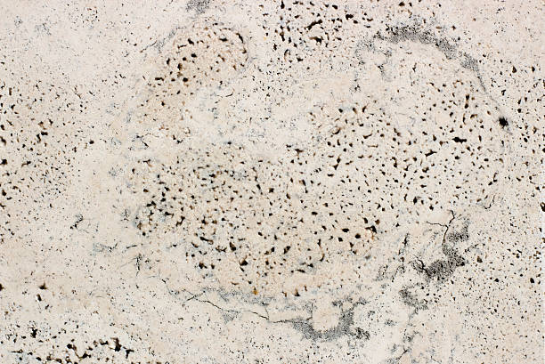 istock texture of slate with gray-streaked 545559846