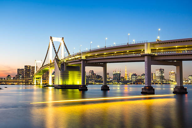 istock Cityscape of Tokyo at night 545560194