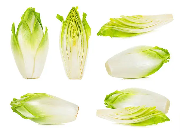 Set of chicory isolated on a white background.