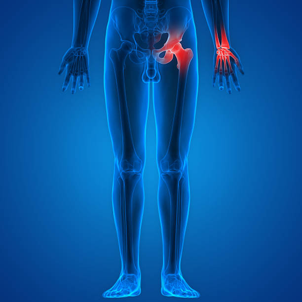 istock Human Body Bone Joint Pains 545562316
