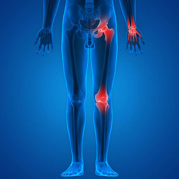 istock Human Body Bone Joint Pains 545562322