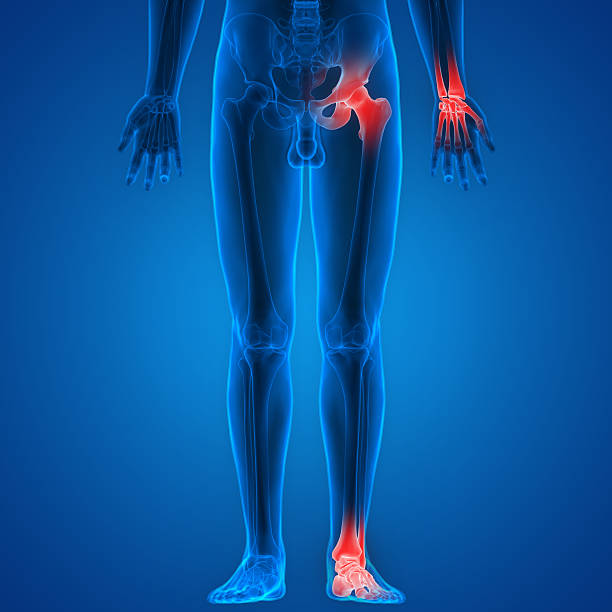 istock Human Body Bone Joint Pains 545562336