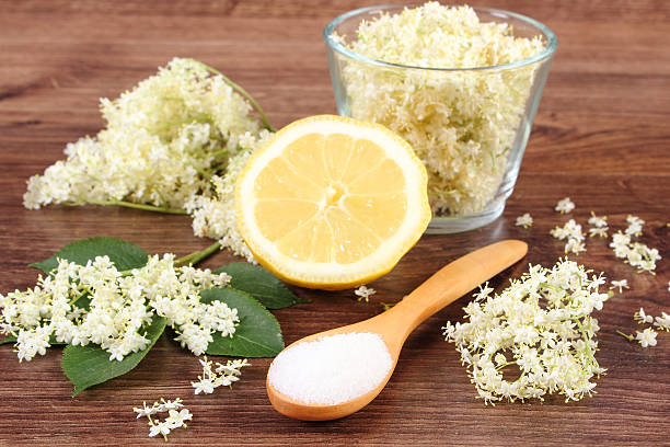 istock Elderberry flowers and ingredients for preparing juice on rustic board 545565262