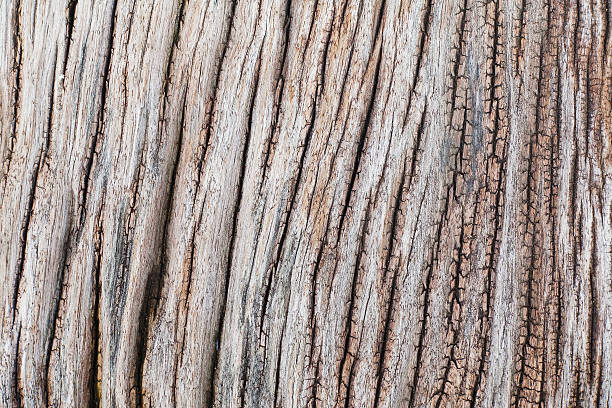 istock Old wood railway sleepers abstract architecture construction decor vintage wood 545567628