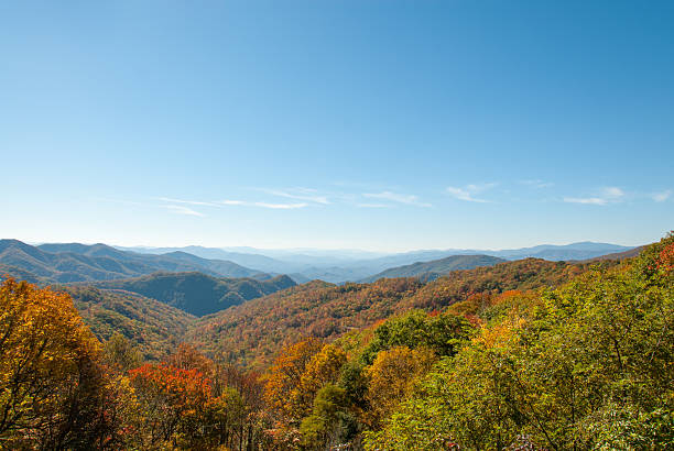istock Smoky Mountain Fall Foliage III 545569368