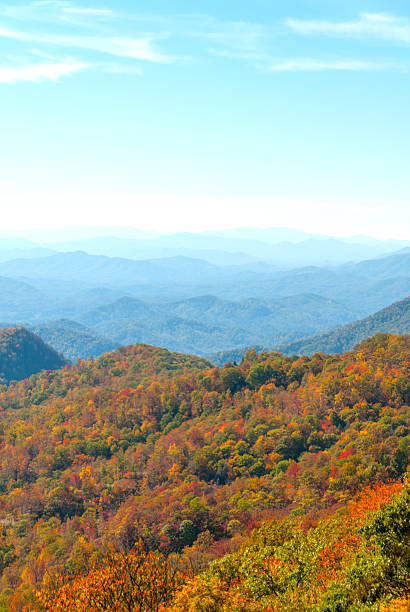 istock Smoky Mountain Fall Foliage II 545569450