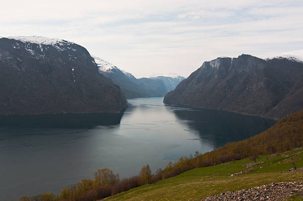 istock Norway. Norwegian fjord 545570726