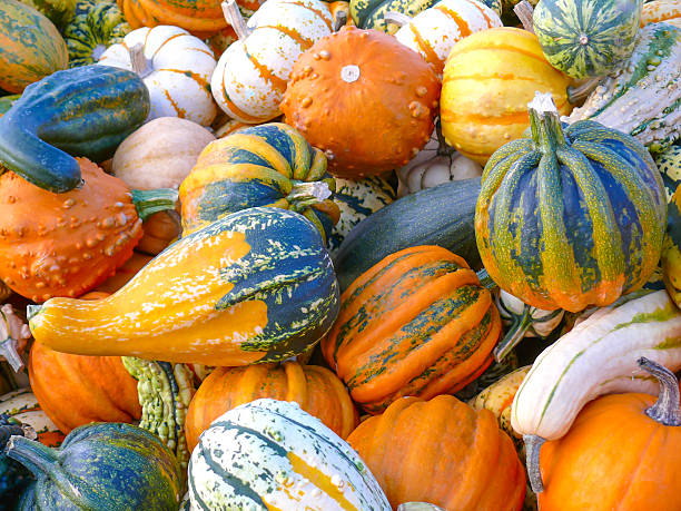 istock Pile of Colorful Gourds II 545571788