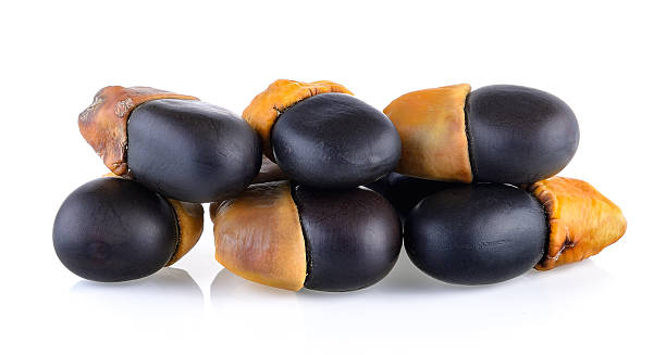 istock Ormosia (Makha) Seeds on white background 545573518