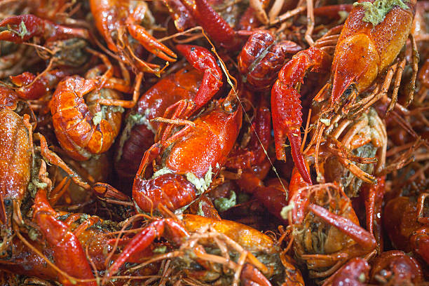 Chinese small lobster stir frying with chili