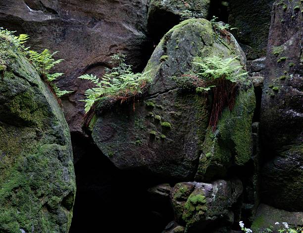 istock Dogs head rocky formation in Teplicke skaly 545575158