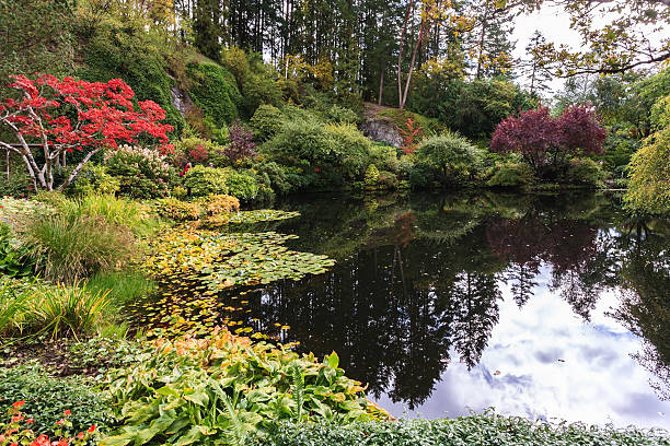 istock Fantastic Gardens on Vancouver Island 545577164