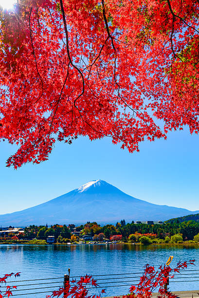 istock Mt.Fuji in autumn 545578212