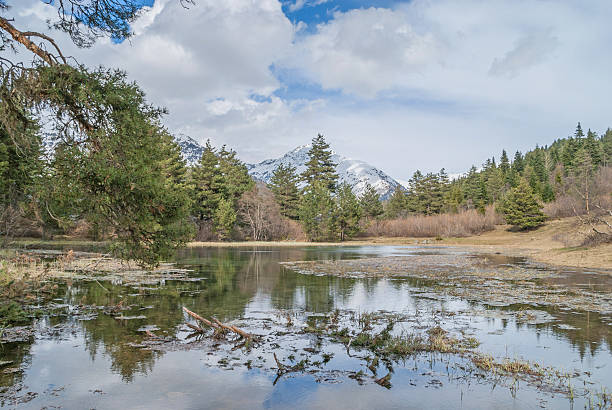 istock Lake in the mountains, Upper Svaneti. Georgia 545578614